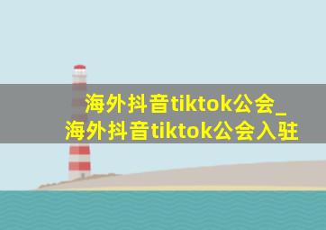 海外抖音tiktok公会_海外抖音tiktok公会入驻