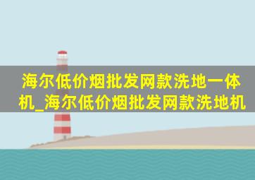 海尔(低价烟批发网)款洗地一体机_海尔(低价烟批发网)款洗地机