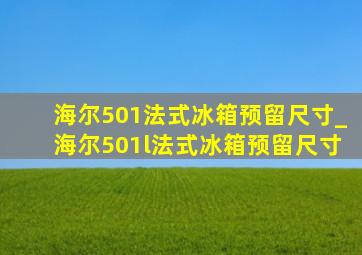 海尔501法式冰箱预留尺寸_海尔501l法式冰箱预留尺寸