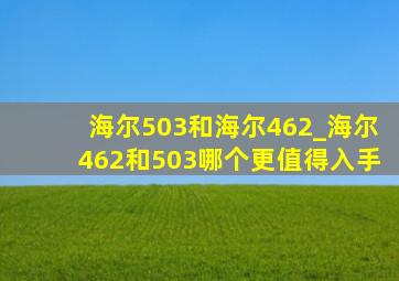 海尔503和海尔462_海尔462和503哪个更值得入手