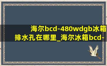 海尔bcd-480wdgb冰箱排水孔在哪里_海尔冰箱bcd-460wdbe排水口在哪里