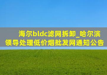 海尔bldc滤网拆卸_哈尔滨领导处理(低价烟批发网)通知公告