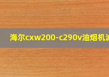 海尔cxw200-c290v油烟机滤网