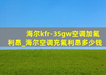 海尔kfr-35gw空调加氟利昂_海尔空调充氟利昂多少钱
