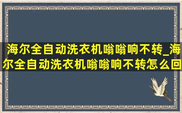 海尔全自动洗衣机嗡嗡响不转_海尔全自动洗衣机嗡嗡响不转怎么回事