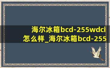 海尔冰箱bcd-255wdci怎么样_海尔冰箱bcd-255wdci