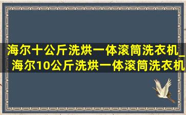 海尔十公斤洗烘一体滚筒洗衣机_海尔10公斤洗烘一体滚筒洗衣机