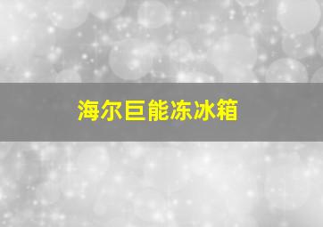 海尔巨能冻冰箱