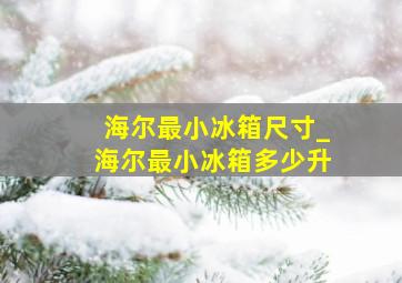 海尔最小冰箱尺寸_海尔最小冰箱多少升