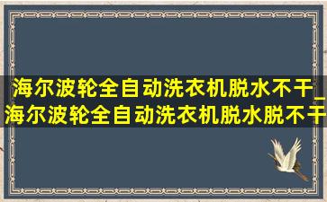 海尔波轮全自动洗衣机脱水不干_海尔波轮全自动洗衣机脱水脱不干