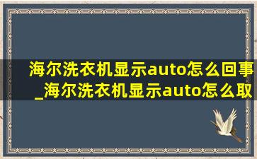 海尔洗衣机显示auto怎么回事_海尔洗衣机显示auto怎么取消