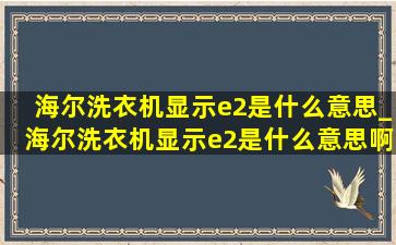 海尔洗衣机显示e2是什么意思_海尔洗衣机显示e2是什么意思啊