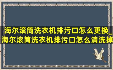 海尔滚筒洗衣机排污口怎么更换_海尔滚筒洗衣机排污口怎么清洗掉