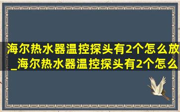 海尔热水器温控探头有2个怎么放_海尔热水器温控探头有2个怎么放图