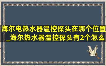 海尔电热水器温控探头在哪个位置_海尔热水器温控探头有2个怎么放