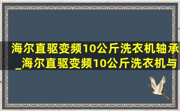 海尔直驱变频10公斤洗衣机轴承_海尔直驱变频10公斤洗衣机与定频区别