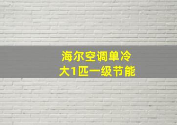 海尔空调单冷大1匹一级节能