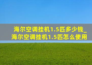 海尔空调挂机1.5匹多少钱_海尔空调挂机1.5匹怎么使用