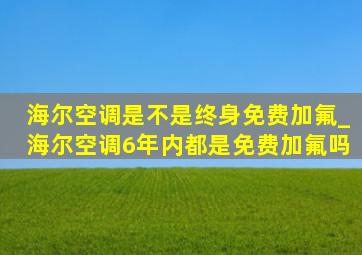 海尔空调是不是终身免费加氟_海尔空调6年内都是免费加氟吗