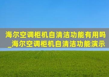 海尔空调柜机自清洁功能有用吗_海尔空调柜机自清洁功能演示