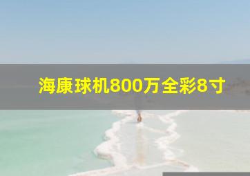 海康球机800万全彩8寸