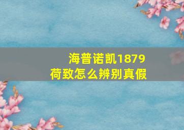 海普诺凯1879荷致怎么辨别真假