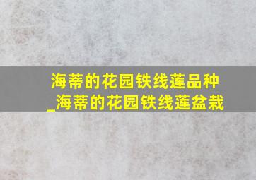 海蒂的花园铁线莲品种_海蒂的花园铁线莲盆栽