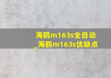海鸥m163s全自动_海鸥m163s优缺点