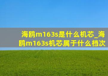 海鸥m163s是什么机芯_海鸥m163s机芯属于什么档次