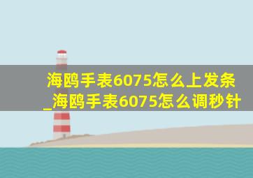 海鸥手表6075怎么上发条_海鸥手表6075怎么调秒针