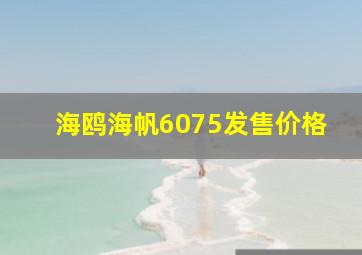 海鸥海帆6075发售价格