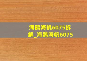 海鸥海帆6075拆解_海鸥海帆6075