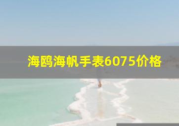 海鸥海帆手表6075价格