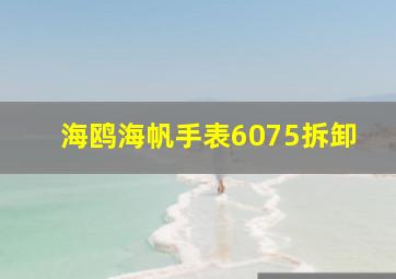 海鸥海帆手表6075拆卸