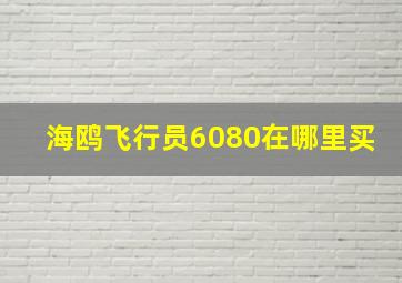 海鸥飞行员6080在哪里买