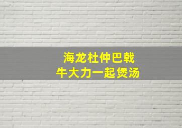 海龙杜仲巴戟牛大力一起煲汤