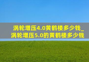 涡轮增压4.0黄鹤楼多少钱_涡轮增压5.0的黄鹤楼多少钱