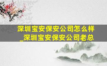 深圳宝安保安公司怎么样_深圳宝安保安公司老总