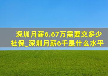 深圳月薪6.67万需要交多少社保_深圳月薪6千是什么水平