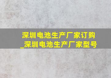 深圳电池生产厂家订购_深圳电池生产厂家型号