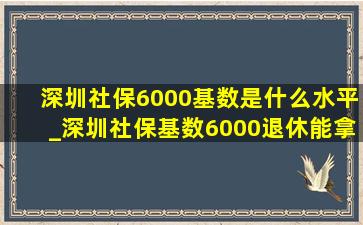 深圳社保6000基数是什么水平_深圳社保基数6000退休能拿多少钱