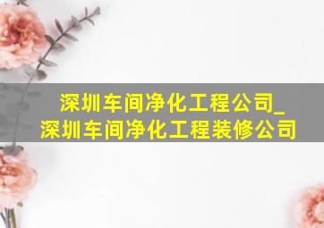 深圳车间净化工程公司_深圳车间净化工程装修公司