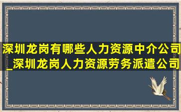 深圳龙岗有哪些人力资源中介公司_深圳龙岗人力资源劳务派遣公司