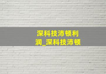 深科技沛顿利润_深科技沛顿