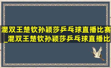 混双王楚钦孙颖莎乒乓球直播比赛_混双王楚钦孙颖莎乒乓球直播比赛颁奖