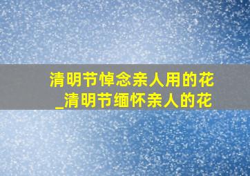 清明节悼念亲人用的花_清明节缅怀亲人的花