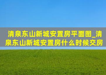 清泉东山新城安置房平面图_清泉东山新城安置房什么时候交房