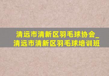 清远市清新区羽毛球协会_清远市清新区羽毛球培训班