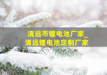 清远市锂电池厂家_清远锂电池定制厂家