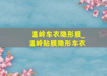 温岭车衣隐形膜_温岭贴膜隐形车衣